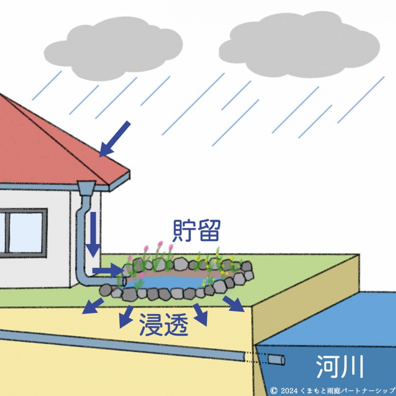 �������ꥤ�᡼���̿�