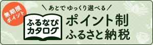 �դ�ʤӥ��������Хʡ�