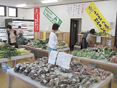 Jaかみましきとれたて市場 観光マップ 嘉島町 Jaかみましきとれたて市場 観光マップ 嘉島町
