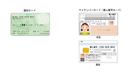 通知カード　マイナンバーカード