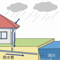 �����ʤ����᡼���̿�